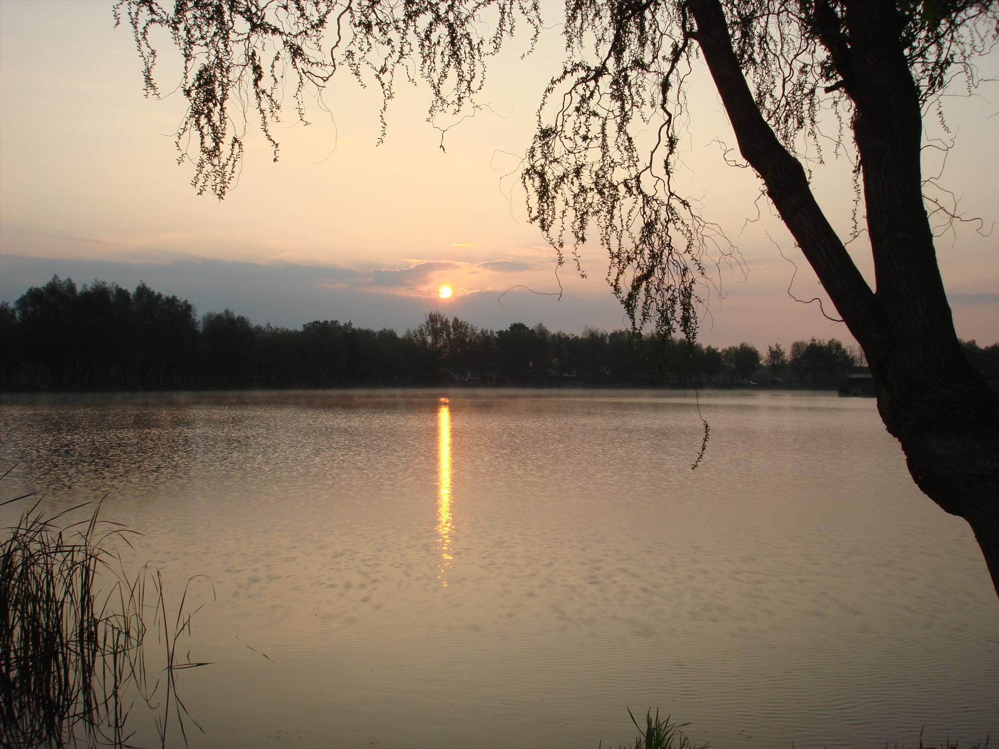 pescuit pe o balta superba - dsc06417.JPG